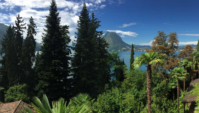 Aussicht Monte Brè