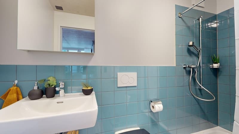 Freiley-Haus-19-25-Zimmer-Dusche.jpg
