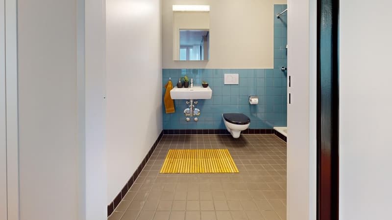 Freiley-Haus-19-25-Zimmer-Dusche-.jpg