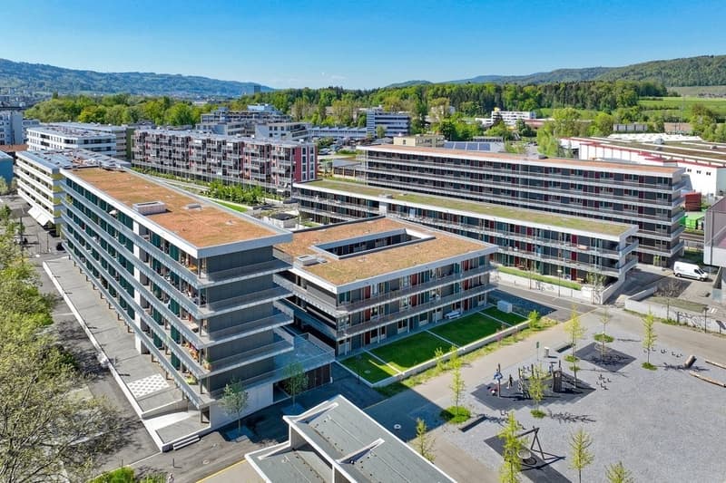 DJI_0372.jpg