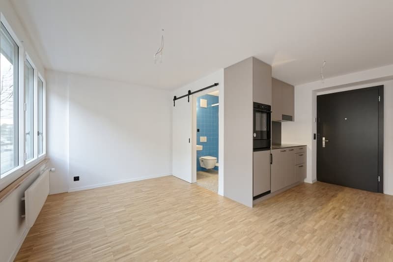Wohn- und Schlafzimmer