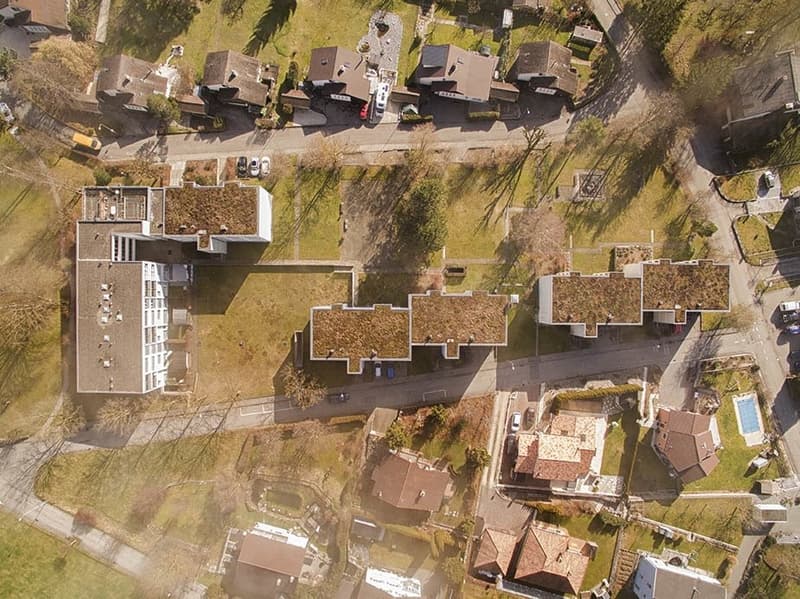 DJI_0242.jpg