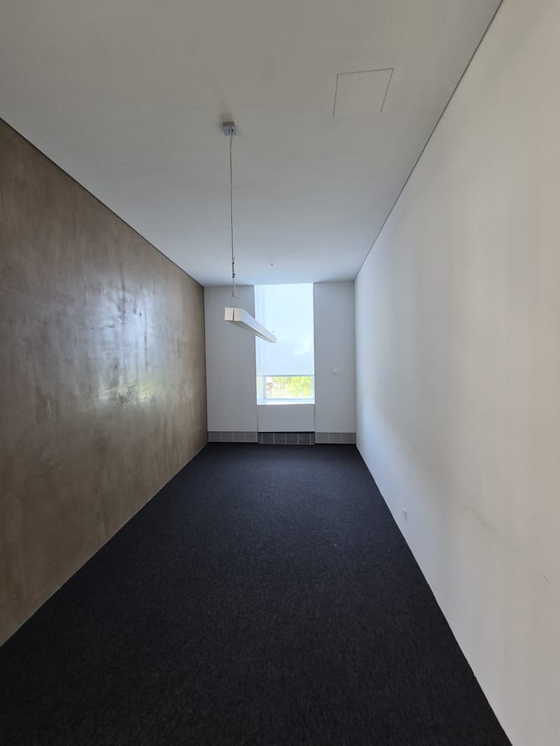 large empty room, black carpet, white walls, ceiling lamp, large window