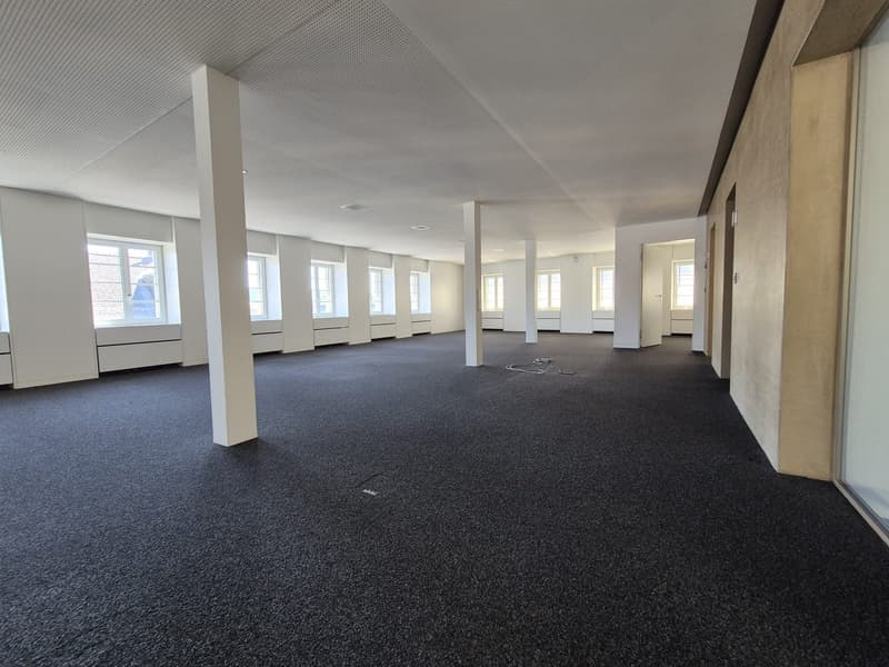 Empty room with white walls and columns, carpeted floor, multiple windows.