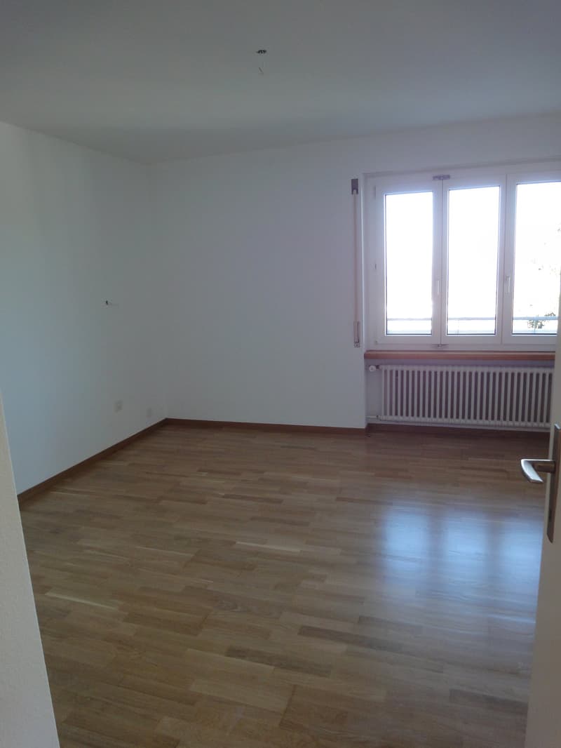 Appartamento luminoso 4.5 locali con balcone e bella vista ad Adliswil (9)