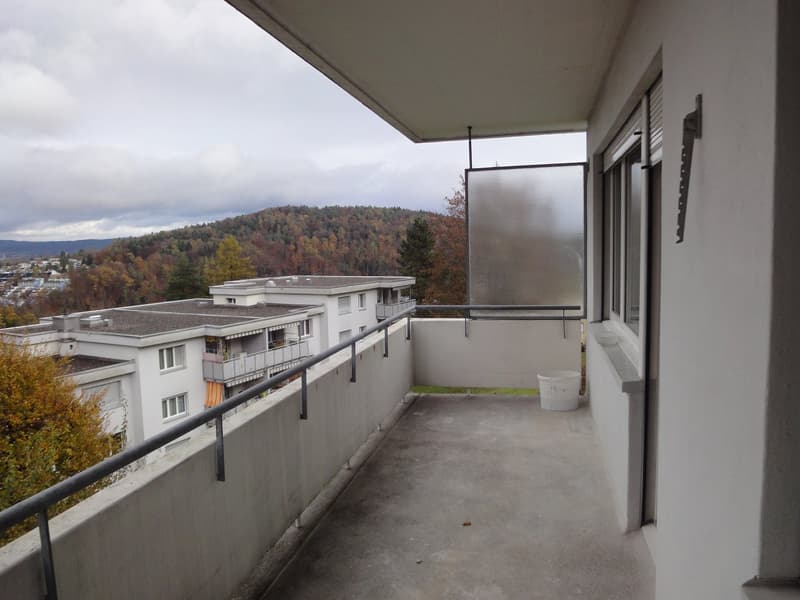 Appartamento luminoso 4.5 locali con balcone e bella vista ad Adliswil (1)