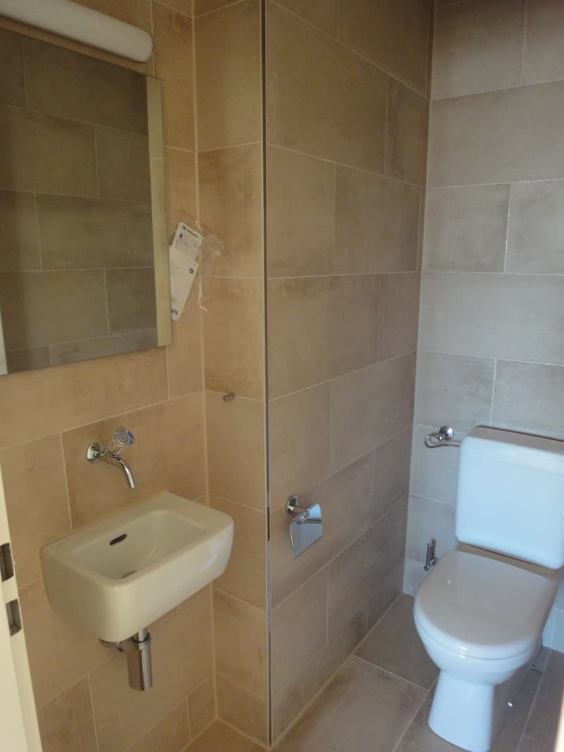 Helle 4.5-Zimmer-Wohnung mit Balkon und schöner Aussicht in Adliswil (14)