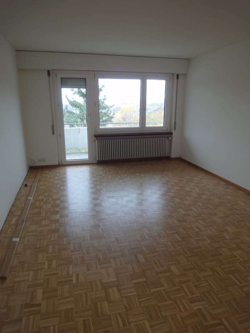 Helle 4.5-Zimmer-Wohnung mit Balkon und schöner Aussicht in Adliswil (6)