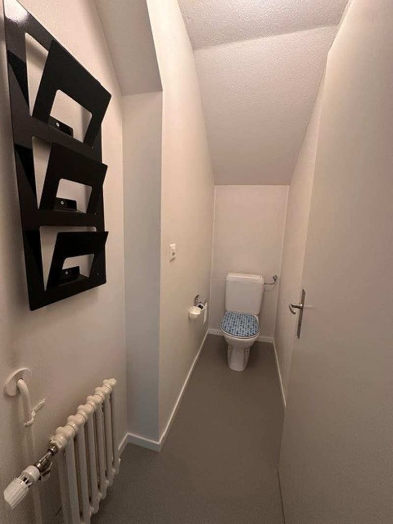 Charmante 5-Zimmer-Dachwohnung in Hausen am Albis (10)
