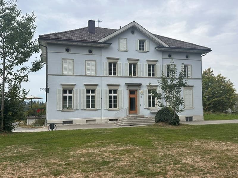 Charmante 5-Zimmer-Dachwohnung in Hausen am Albis (1)
