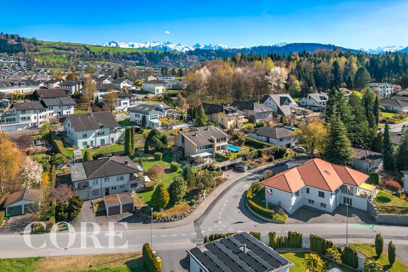 Aerial view of a neighborhood with several houses, some with garages, surrounded by trees and greenery, with a mountain range in the background.