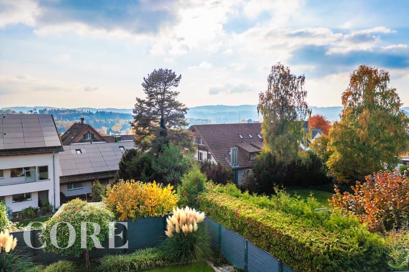 OG: Aussicht nach Westen