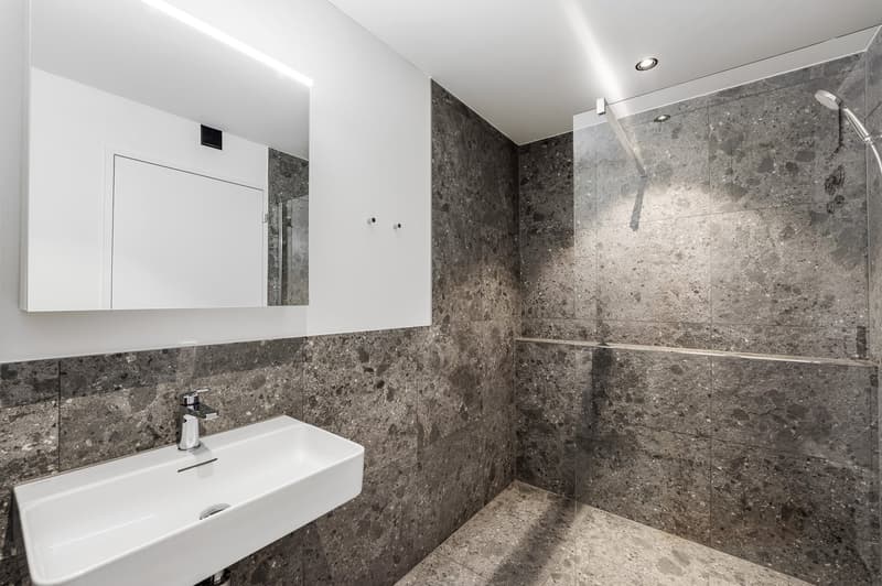 Neubau: Stilvoll möblierte 1.5-Zimmer-Wohnung (8)