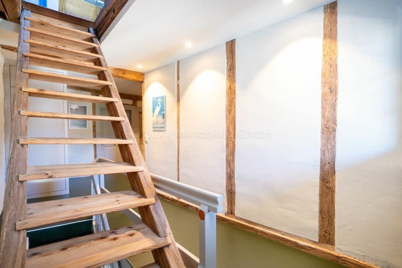 Completely renovated 6.5-room middle house with historic character in Oberwinterthur (28)