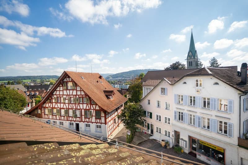 Completely renovated 6.5-room middle house with historic character in Oberwinterthur (18)