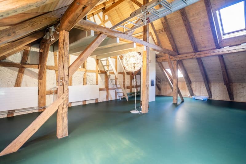 Completely renovated 6.5-room middle house with historic character in Oberwinterthur (13)
