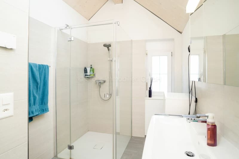 Maison de 5,5 pièces tout à fait moderne dans un quartier calme (15)