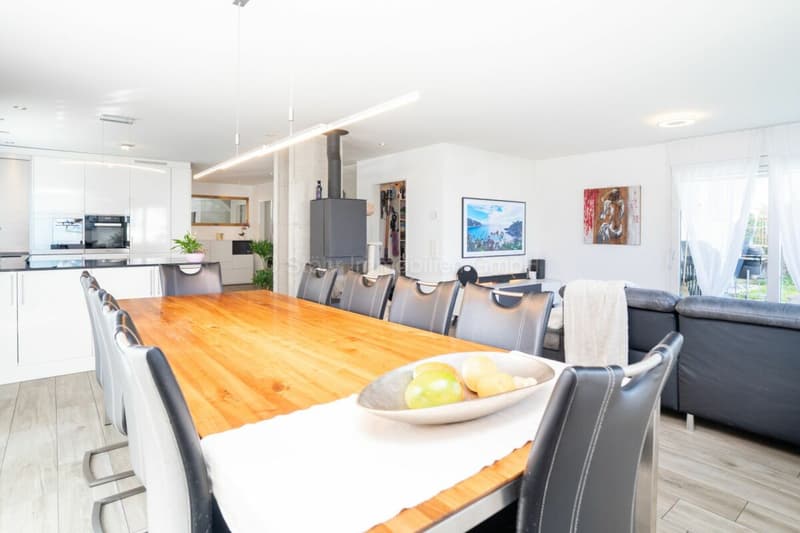 Maison de 5,5 pièces tout à fait moderne dans un quartier calme (5)