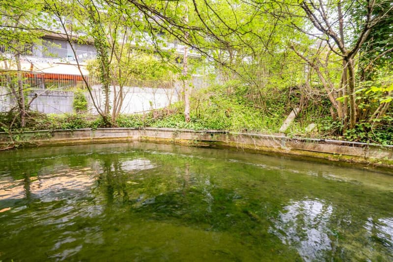 Appartamento 2.5 locali curato con giardino spazioso (22)