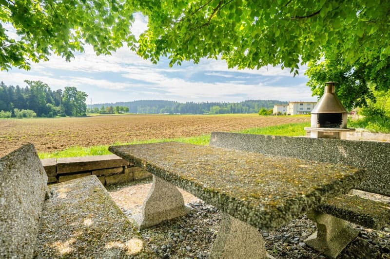 4.5 room apartment in a beautiful location in Seuzach (17)