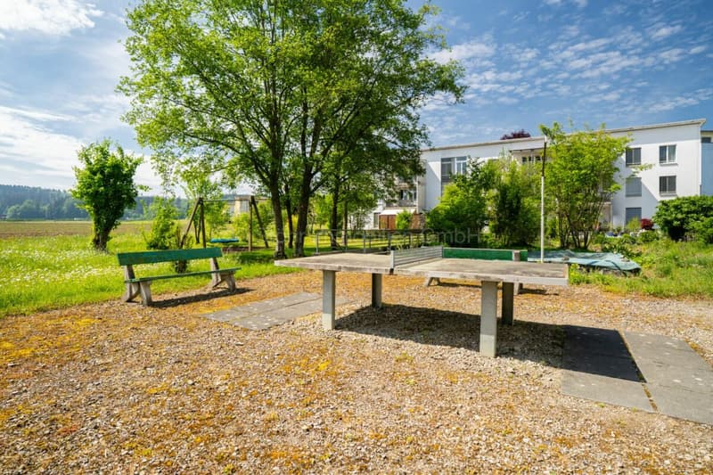 4.5 room apartment in a beautiful location in Seuzach (2)