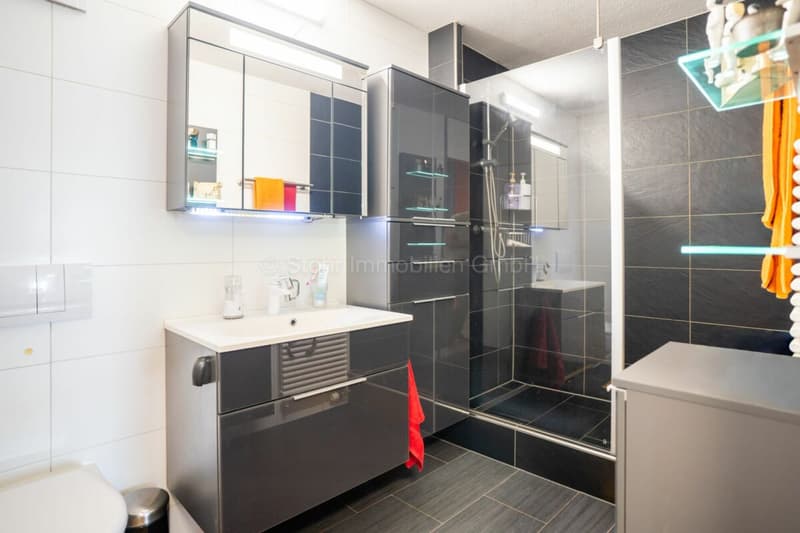 4.5 room apartment in a beautiful location in Seuzach (9)