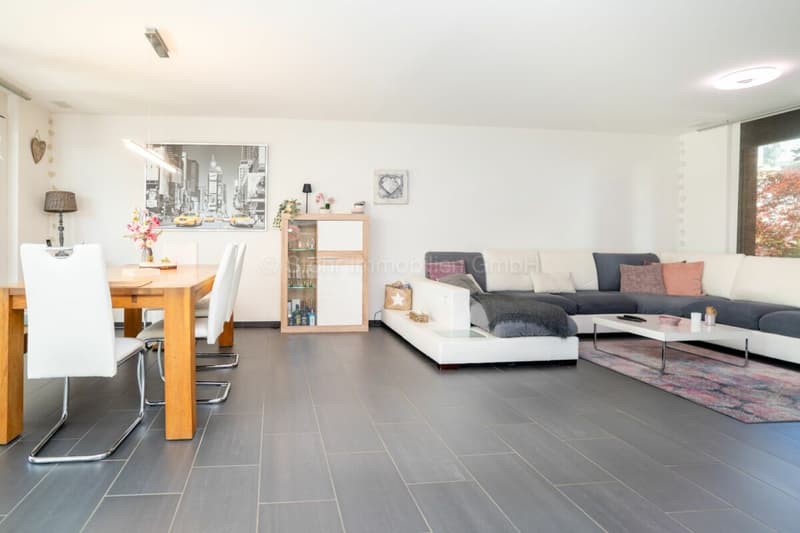 Maison de famille individuelle de 5,5 pièces entretenue aux normes Minergie (7)