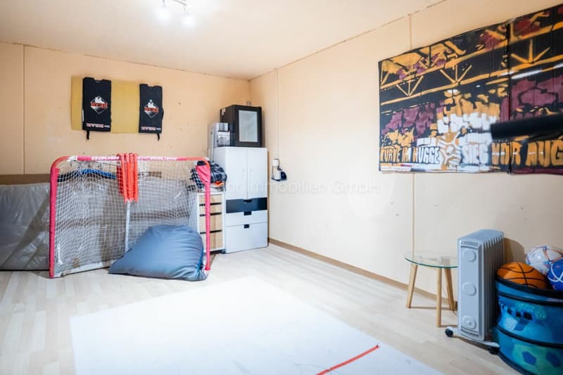 Maison de famille individuelle de 5,5 pièces entretenue aux normes Minergie (18)