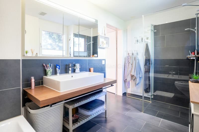 Maison de famille individuelle de 5,5 pièces entretenue aux normes Minergie (15)