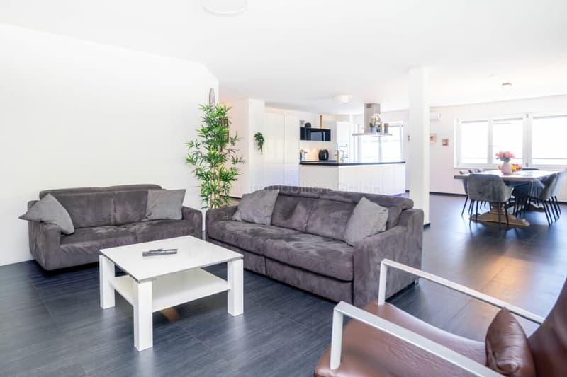 775 m2 di spazio commerciale a Elsau (11)
