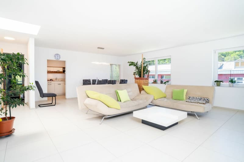 775 m2 di spazio commerciale a Elsau (10)