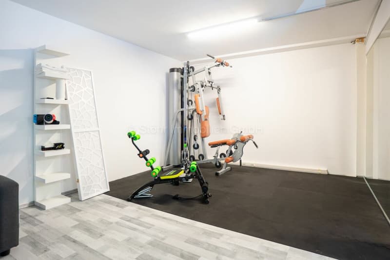 775 m2 di spazio commerciale a Elsau (17)