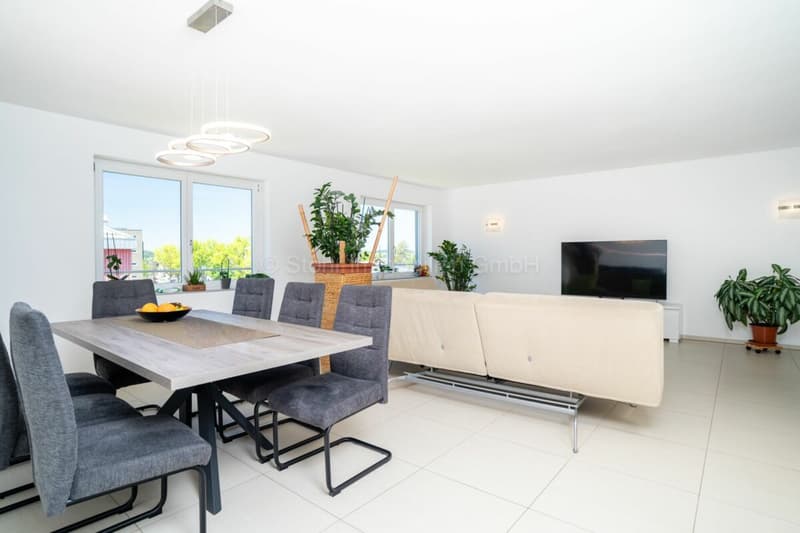 775 m2 di spazio commerciale a Elsau (12)