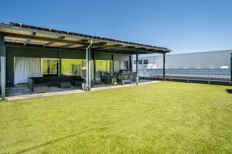 775 m2 di spazio commerciale a Elsau (7)
