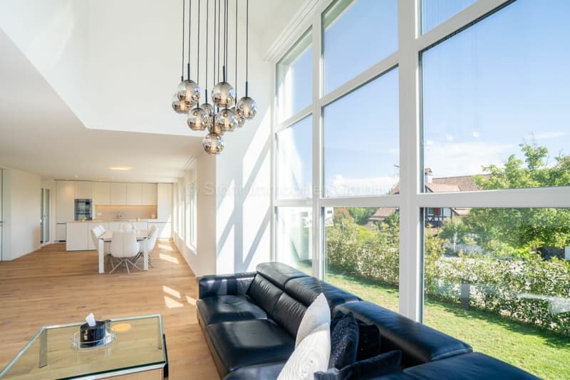 Stylish new building with a well-thought-out room concept and versatile usage possibilities (3)
