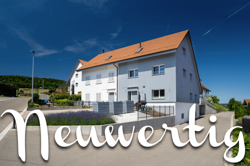 Familienfreundliches 4.5-Zimmer-DEFH in gepflegter Überbauung (1)
