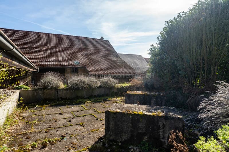 Bauland in Brütten mit historischem Bauernhaus und Entwicklungspotenzial (26)