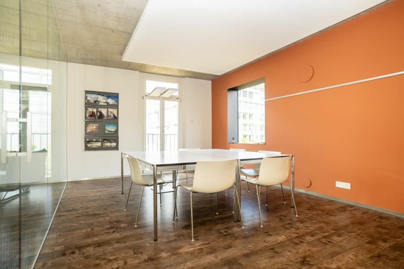 Urbane Loft mit Garten an zentraler Lage in Winterthur (9)