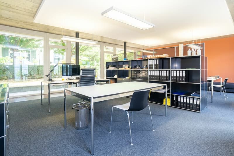 Urbane Loft mit Garten an zentraler Lage in Winterthur (14)