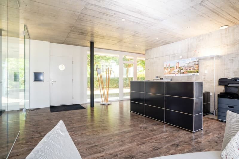 Urbane Loft mit Garten an zentraler Lage in Winterthur (5)
