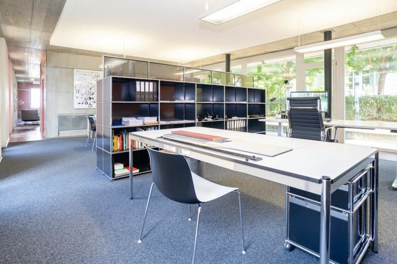 Urbane Loft mit Garten an zentraler Lage in Winterthur (15)