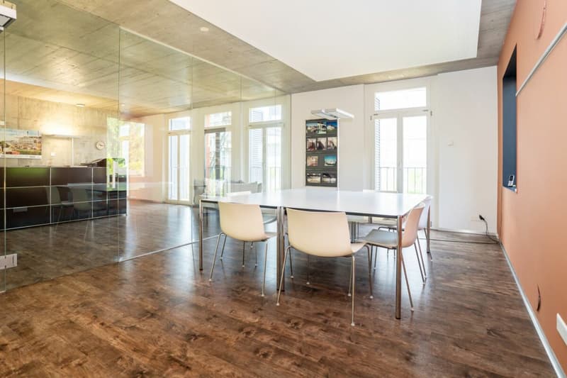 Urbane Loft mit Garten an zentraler Lage in Winterthur (11)