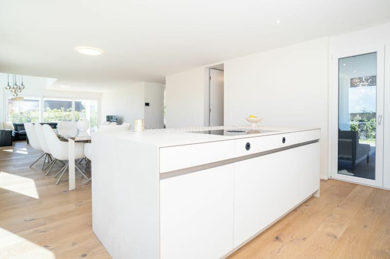 Stilvoller Neubau mit durchdachtem Raumkonzept und vielseitigen Nutzungsmöglichkeiten (6)