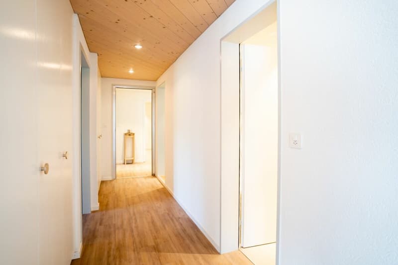 Einzigartige 4.5-Zimmer-Terrassenwohnung an sonniger Hanglage (12)