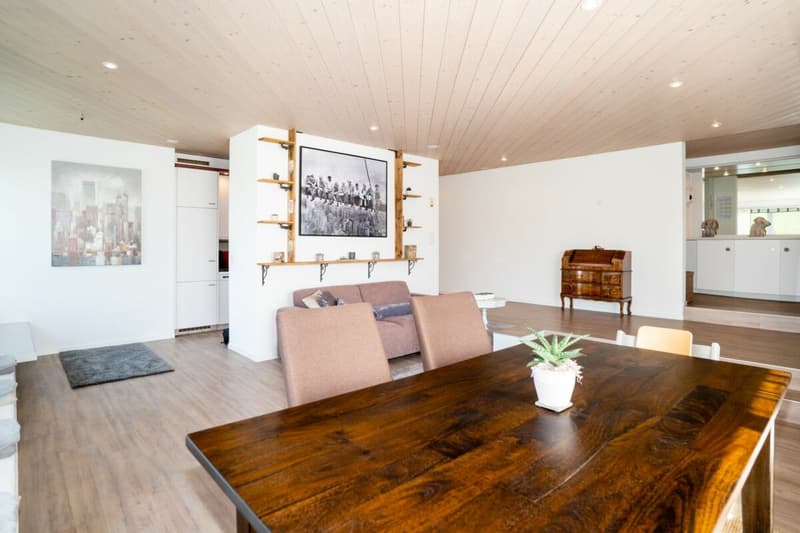 Einzigartige 4.5-Zimmer-Terrassenwohnung an sonniger Hanglage (14)