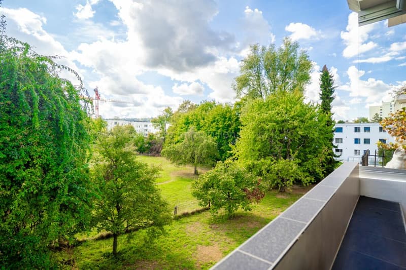 Stilvolle 4.5-Zimmer-Wohnung mit 145 m² Wohnfläche und hochwertiger Totalsanierung (9)