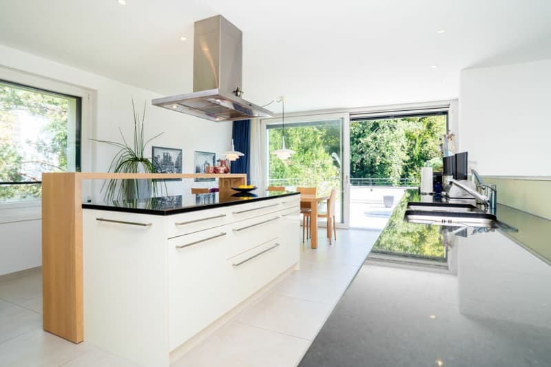 Urbane 4.5 Zimmer Attika-Wohnung mit 169 m² Terrassenfläche (7)