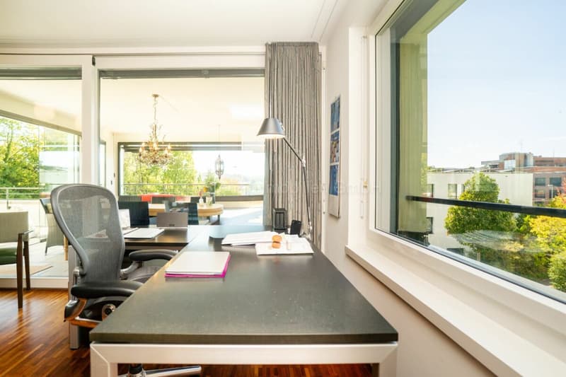 Urbane 4.5 Zimmer Attika-Wohnung mit 169 m² Terrassenfläche (22)