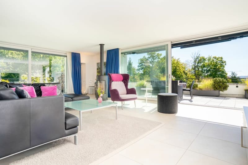 Urbane 4.5 Zimmer Attika-Wohnung mit 169 m² Terrassenfläche (6)