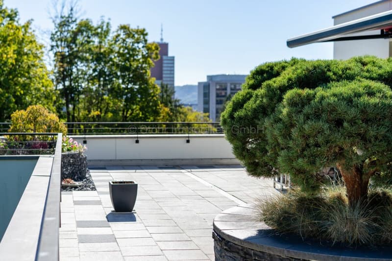 Urbane 4.5 Zimmer Attika-Wohnung mit 169 m² Terrassenfläche (16)
